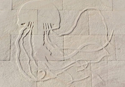 Sandstone cladding feature wall with jellyfish.
